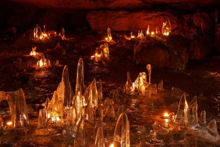 Zu Gast bei den Feen