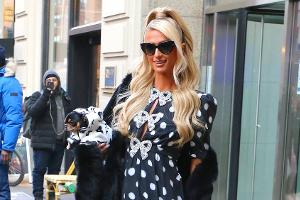 Paris Hilton und mehr: So kreativ sind Promis bei ihren Haustiernamen