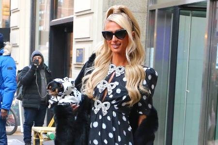 Paris Hilton und mehr: So kreativ sind Promis bei ihren Haustiernamen