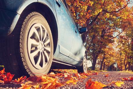 Sicher durch den Verkehr: Das richtige Fahrverhalten im Herbst