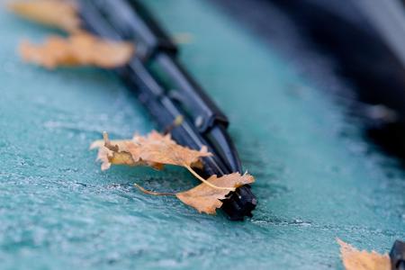 Der erste Frost