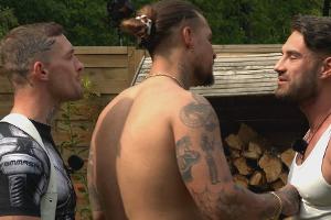 "Sommerhaus der Stars": Paartherapie mündet fast in Schlägerei