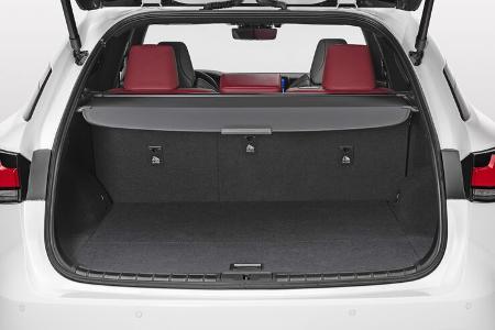 Lexus RX 5. Generation Modelljahr 2023