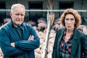 "Tatort: Bauernsterben": Mysteriöser Mord im Mastbetrieb