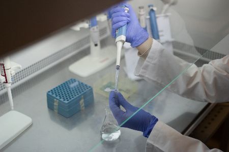 In-vitro-Gametogenese