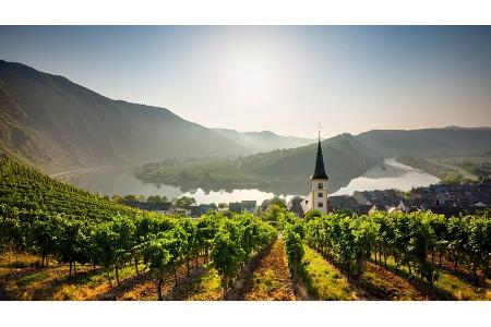 Moselschleife, Rheinland-Pfalz, Mosel, Weinberg, Bremm, Kirche