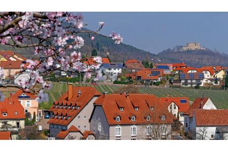 Weinregion, Häuser, Rheinland-Pfalz, Blüten, Schloss