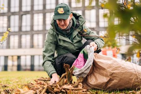 So kann jeder befallenen Kastanienbäumen helfen