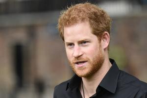 Naturschutz in Afrika: Prinz Harry hat neue Aufgabe bei Herzensprojekt