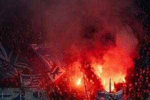 Geldstrafen für Bayern, Freiburg, HSV, Hertha und Kiel