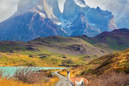 Patagonien erkunden
