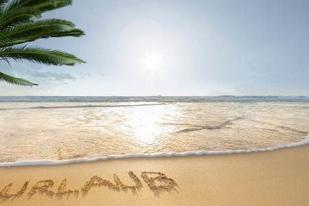 Reisetrends 2024: Der frühe Vogel fängt das Sonderangebot