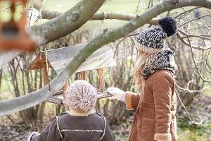 Vögel im Winter: So können nicht nur Gartenbesitzer helfen