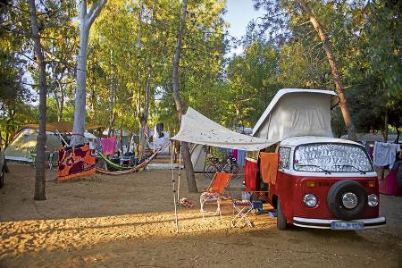 Günstig gegen Teuer