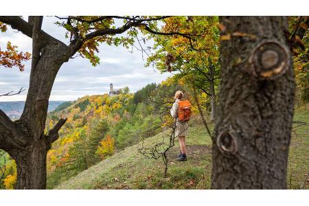 Touren-Tipps November