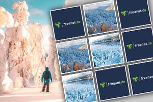 Schneezauber: Die schönsten Winterbilder