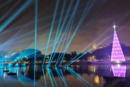 Wagen wir einen Sprung über den Atlantik. Im brasilianischen Sao Paulo besteht der Baum Ibirapuera Park aus lila Lichtern. Jeden Abend gibt es hier eine Lightshow.