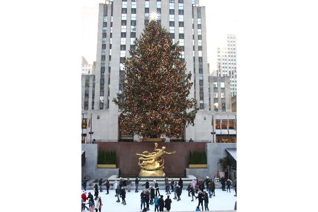 ...und der Schlittschuhbahn ist legendär und aus vielen Filmen bekannt, z.B. 'Kevin allein in New York' oder 'Buddy – Der Weihnachtself'.