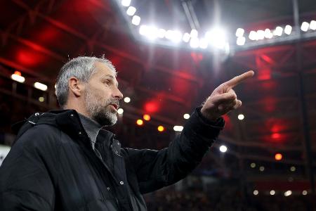 Rose über Forsberg: 