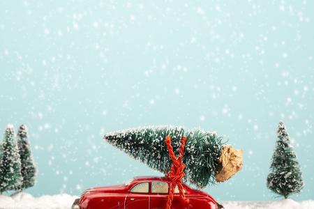 Safety First! So transportiert man den Weihnachtsbaum richtig