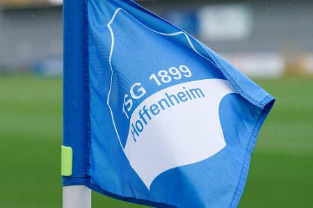 Platz 17: TSG Hoffenheim