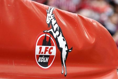 Platz 8: 1. FC Köln