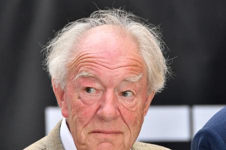 Michael Gambon war einem deutschen Publikum vor allem als Dumbledore aus dem 'Harry Potter'-Franchise bekannt — er hatte die Rolle ab dem dritten Film vom verstorbenen Richard Harris übernommen. Der I ...