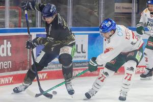 Straubing weiter stark - Grizzlys treffen kurz vor Schluss