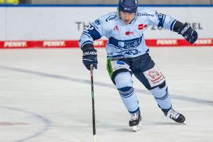 DEL: Pinguins patzen - Eisbären werden abgeschossen