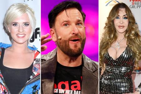 Dschungelcamp: Diese Stars gingen schon freiwillig