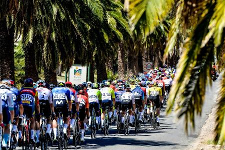 Radsport: Kanter in den Top 10 - Etappensieg für del Toro