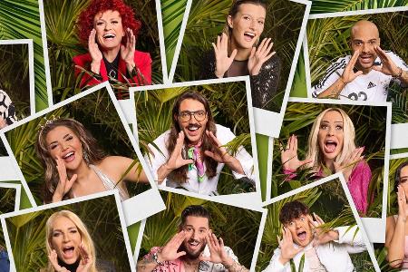 Wie gefährlich wird das RTL-Dschungelcamp für die Promis?
