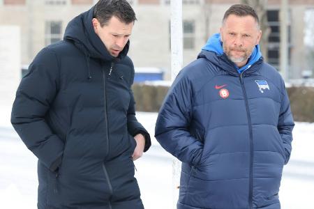 Dardai nach Bernstein-Tod: 