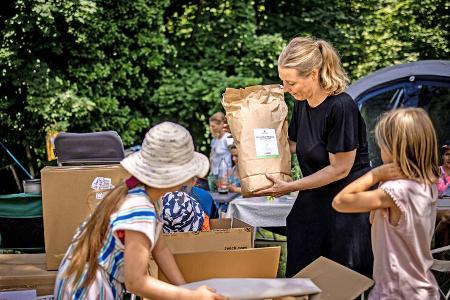 Kartons, Familie, Kinder, Natur, Aufbau