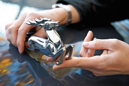 Wolga GAZ M-21, Kühlerfigur