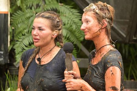 Drei abgebrochene Prüfungen: Dschungelcamp mit Negativrekord