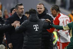 Nach Eklat in München: Drei Spiele Innenraumverbot für Bjelica