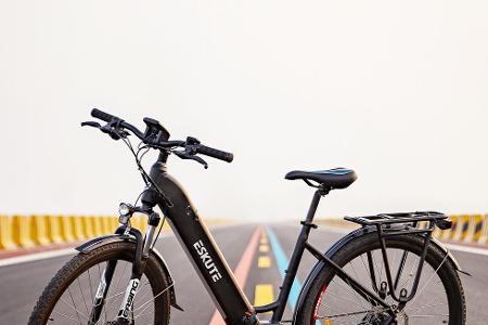 Polluno Pro E-Citybike