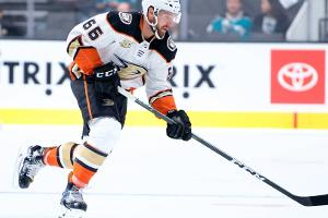 Adler holen AHL-Verteidiger Thompson