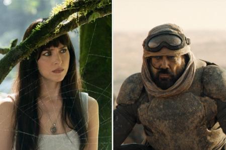 Spinnenfrau im Sand: Die Kino-Tipps im Februar