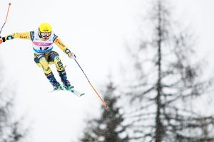 Skicrosser Bachsleitner fährt aufs Podest