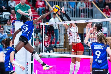 Volleyball: Punktabzüge für Potsdam, Wiesbaden und Suhl