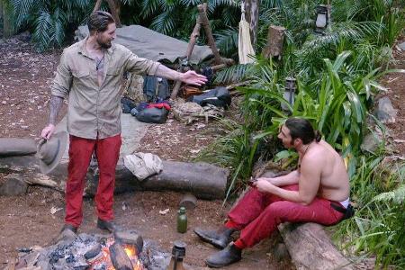 Dschungelcamp-Halbfinale: Diese zwei Camper müssen gehen