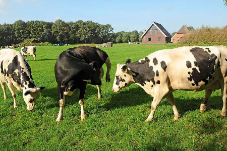 Reise Achterhoek Niederlande f