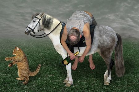 verrückte gesetze in UK