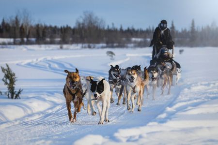 Yellowknife Kanada