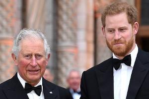 Wie verliefen Prinz Harrys erste Stunden zurück in seiner Heimat?