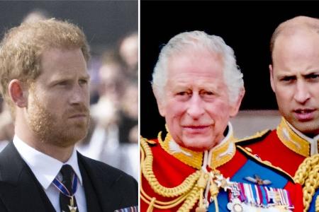 Besuch von Prinz Harry: William und Charles zeigen ihm kalte Schulter