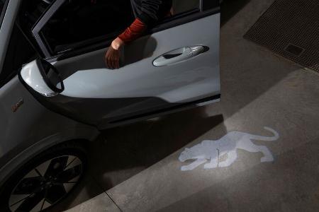 Ford Puma Facelift (2024) 