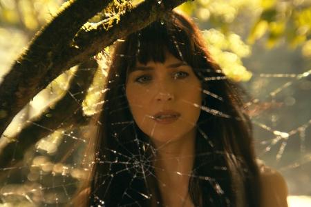 Franchise-Traum geplatzt? 